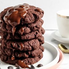Chocolate Coconut Cookies With Chocolate Chips