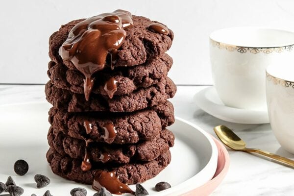 Chocolate Coconut Cookies With Chocolate Chips