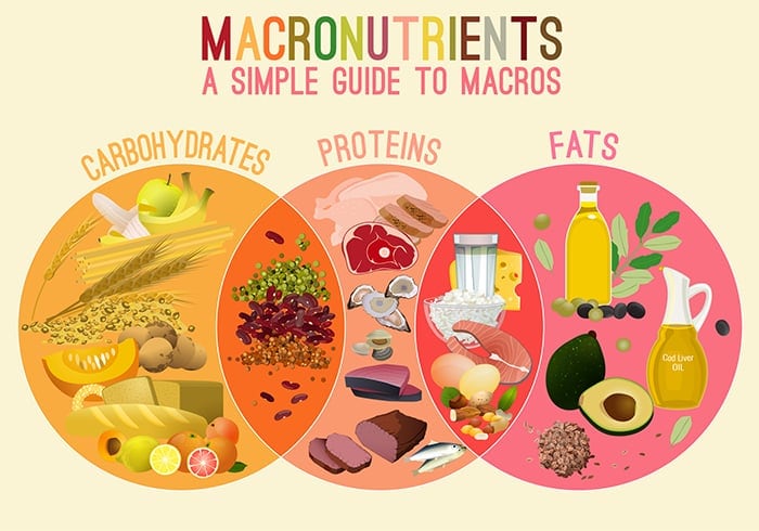 Macronutrients