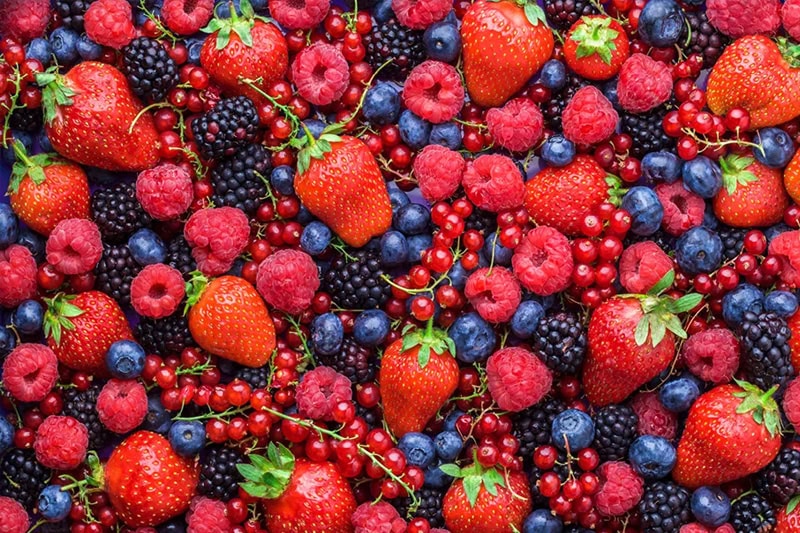 Berries