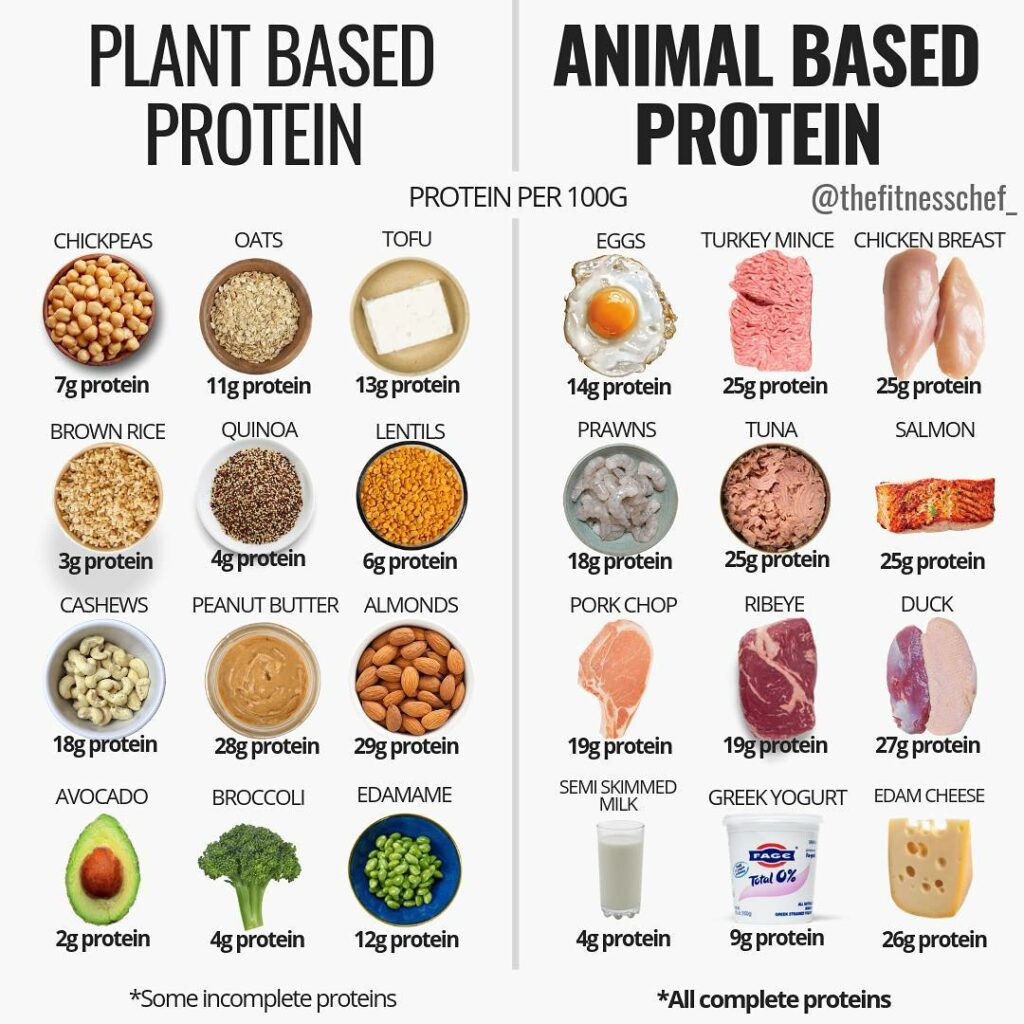 Protein in foods