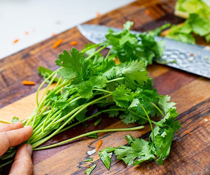 Chopping fresh cilantro