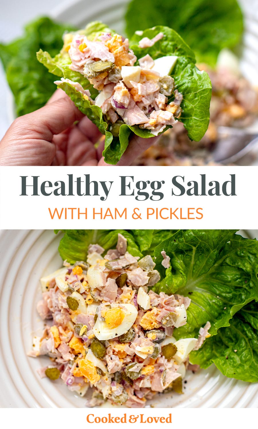 Egg Salad With Ham & Pickles