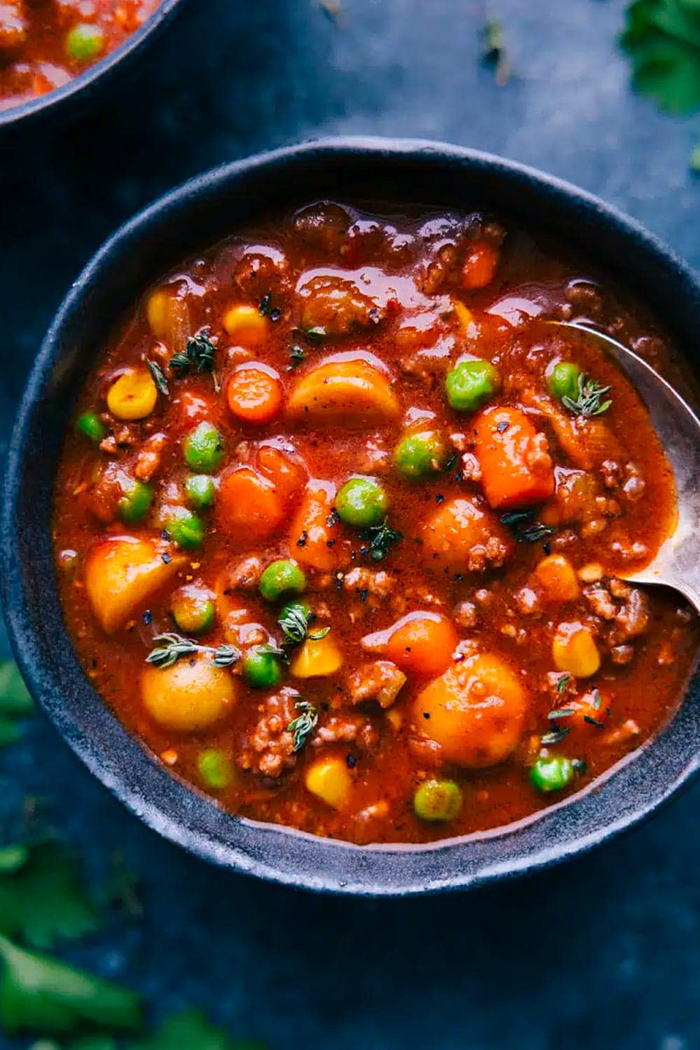 Vegetable Beef Soup