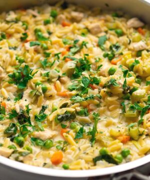 Lemon chicken orzo pasta.