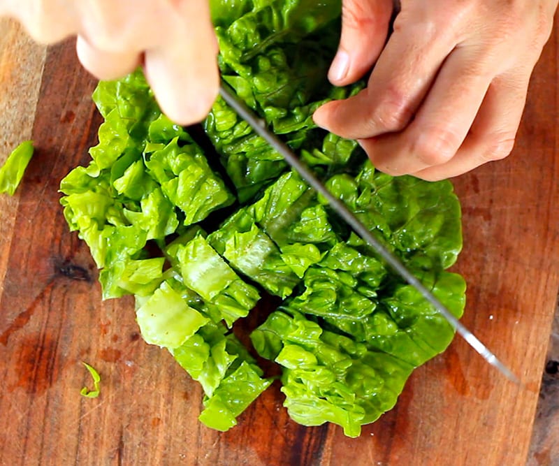 Romaine lettuce for salad