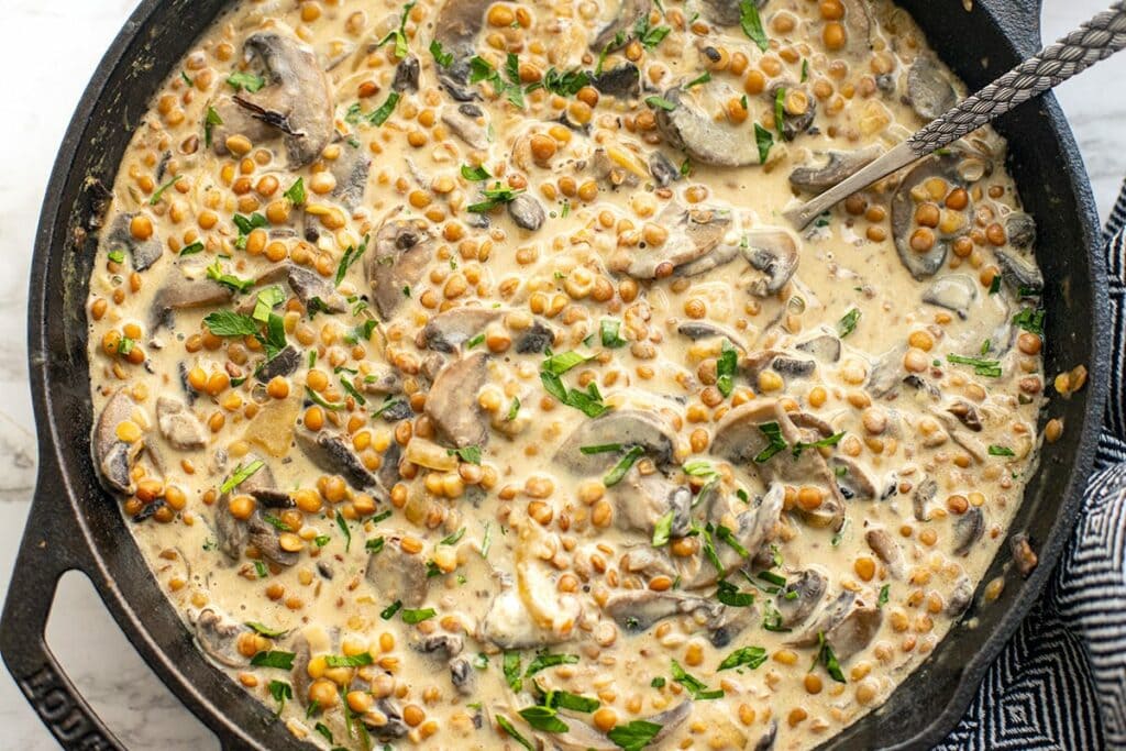 Lentil Mushroom Stroganoff Recipe Vegetarian Gluten-Free