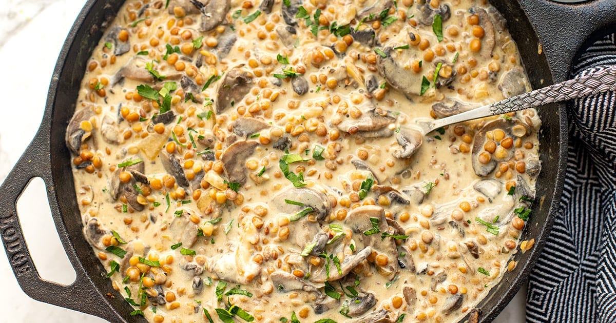 Vegetarian Stroganoff (Lentil & Mushroom)