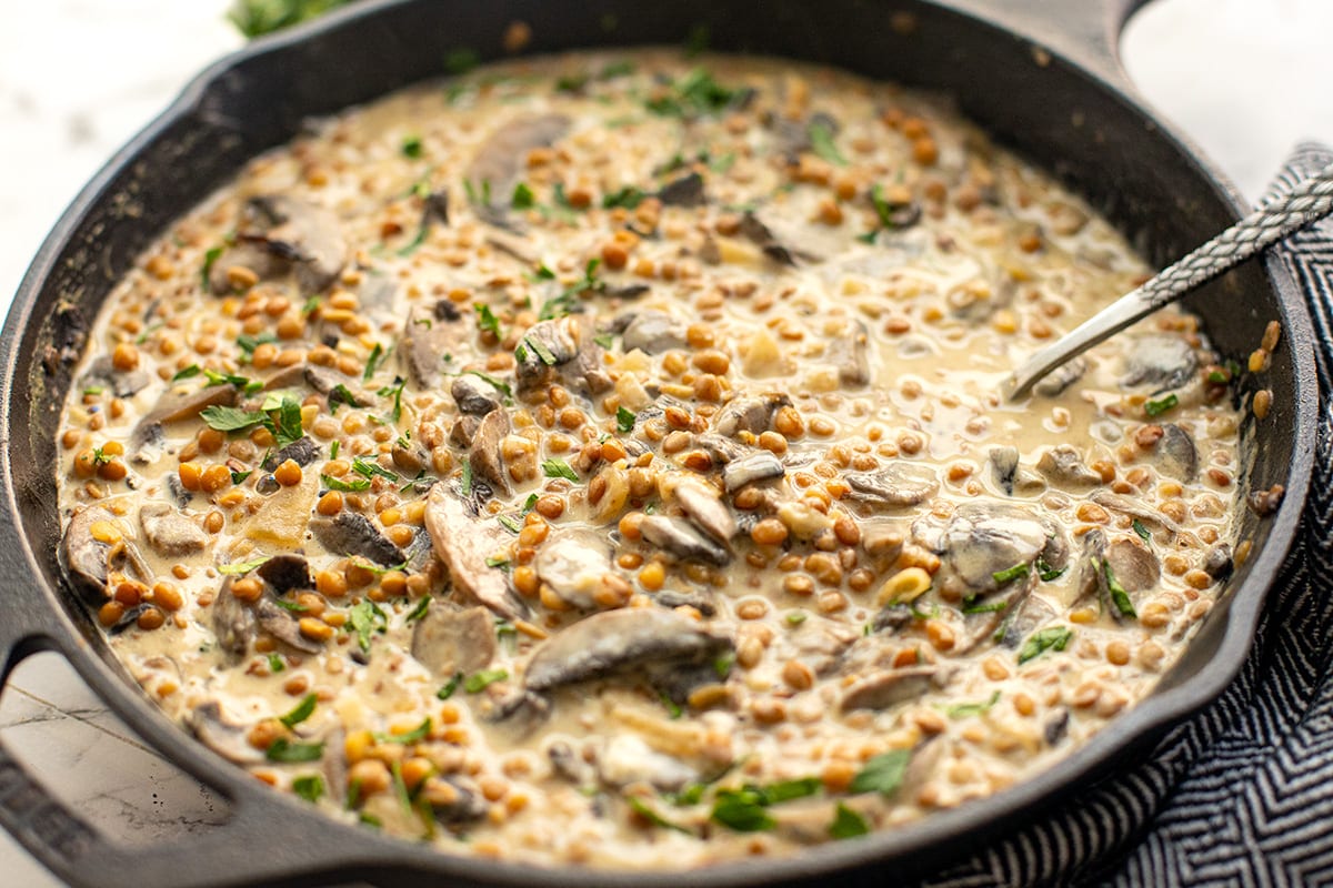Mushroom Stroganoff  Recipe with lentils
