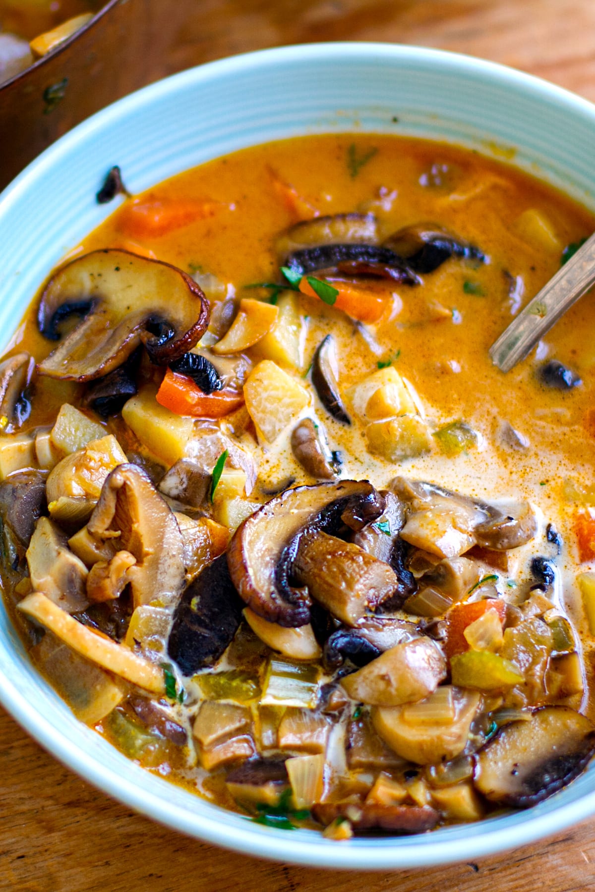 vegetarian stew with mushrooms