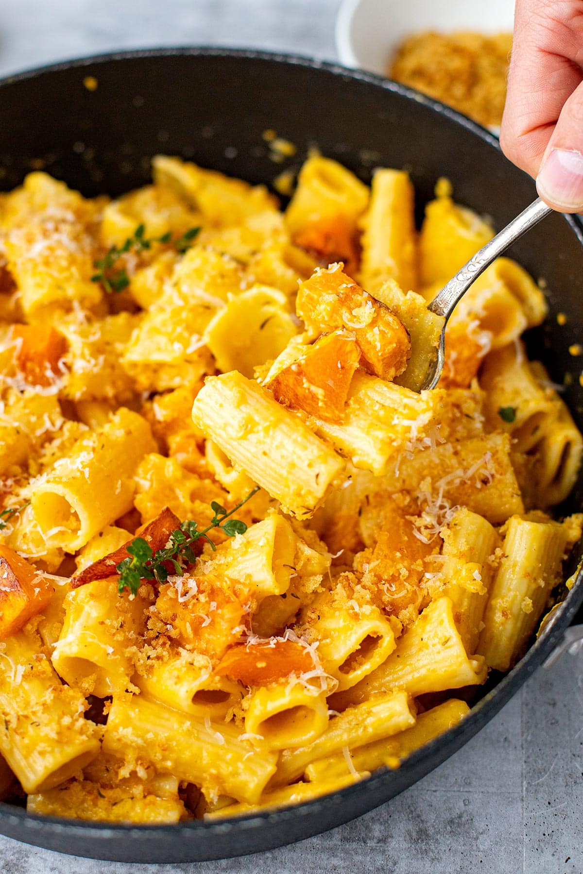 Creamy Butternut Squash Pasta Rigatoni