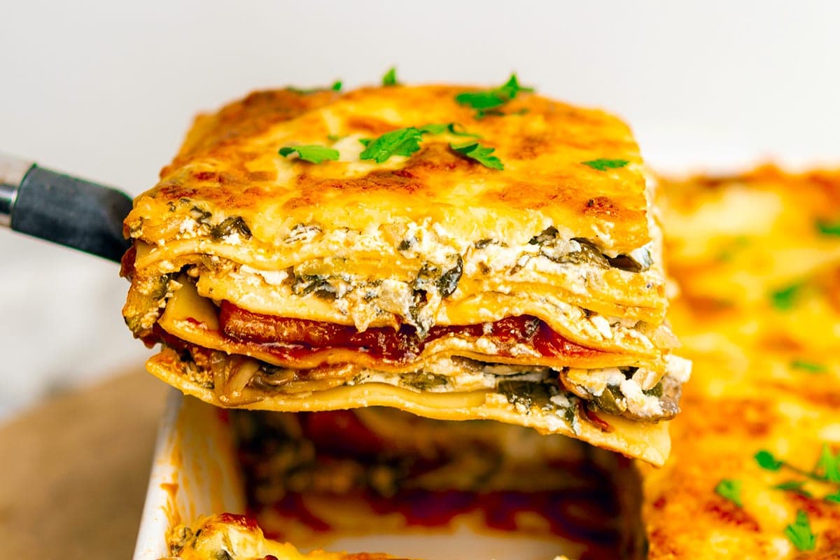Lasagna recipe with cottage cheese discount