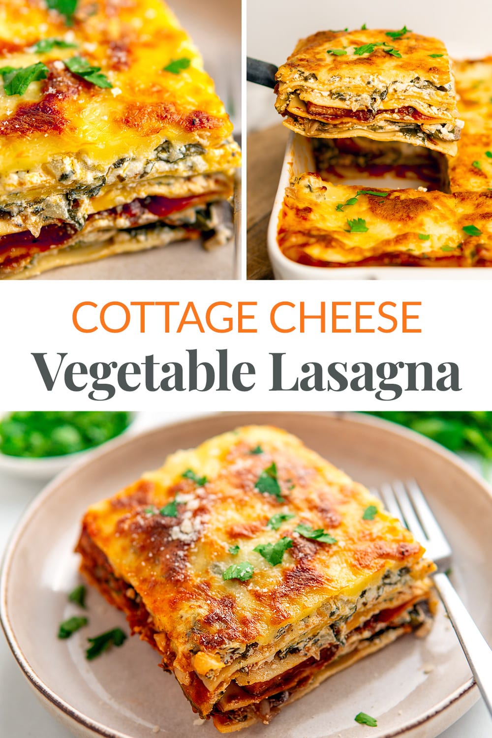 Vegetable Cottage Cheese Lasagna
