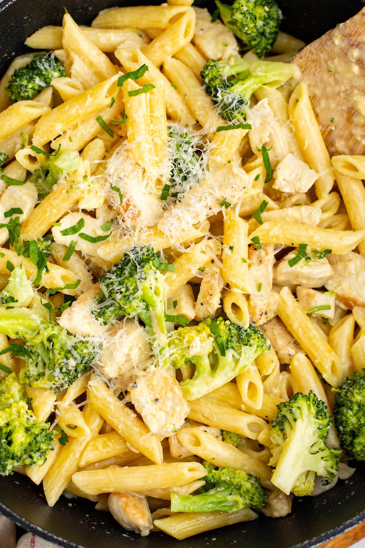 Penne pasta coasted in Alfredo sauce with chicken and broccoli, sprinkled with Parmesan cheese.
