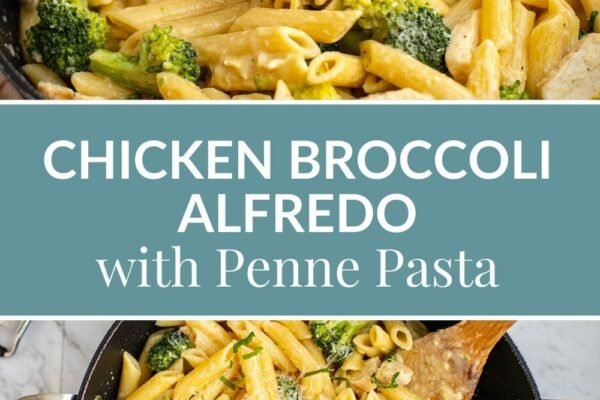Chicken Broccoli Alfredo With Penne Pasta
