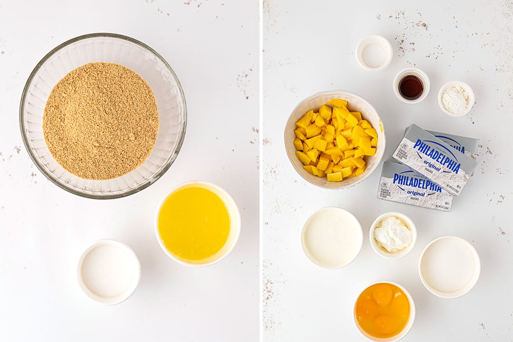 ingredients for mango cheesecake