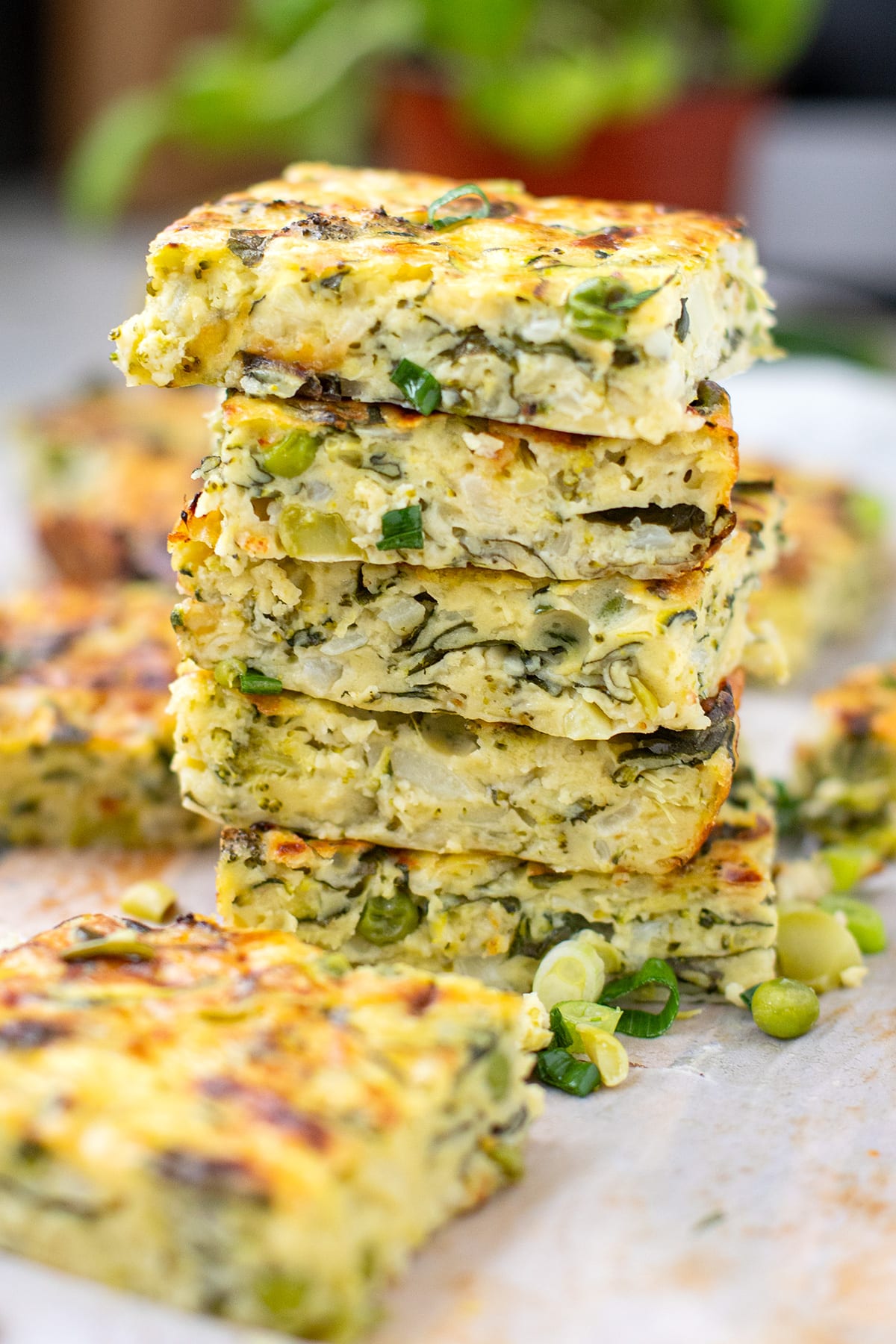 Healthy Zucchini Slice With Cottage Cheese Broccoli and Spinach