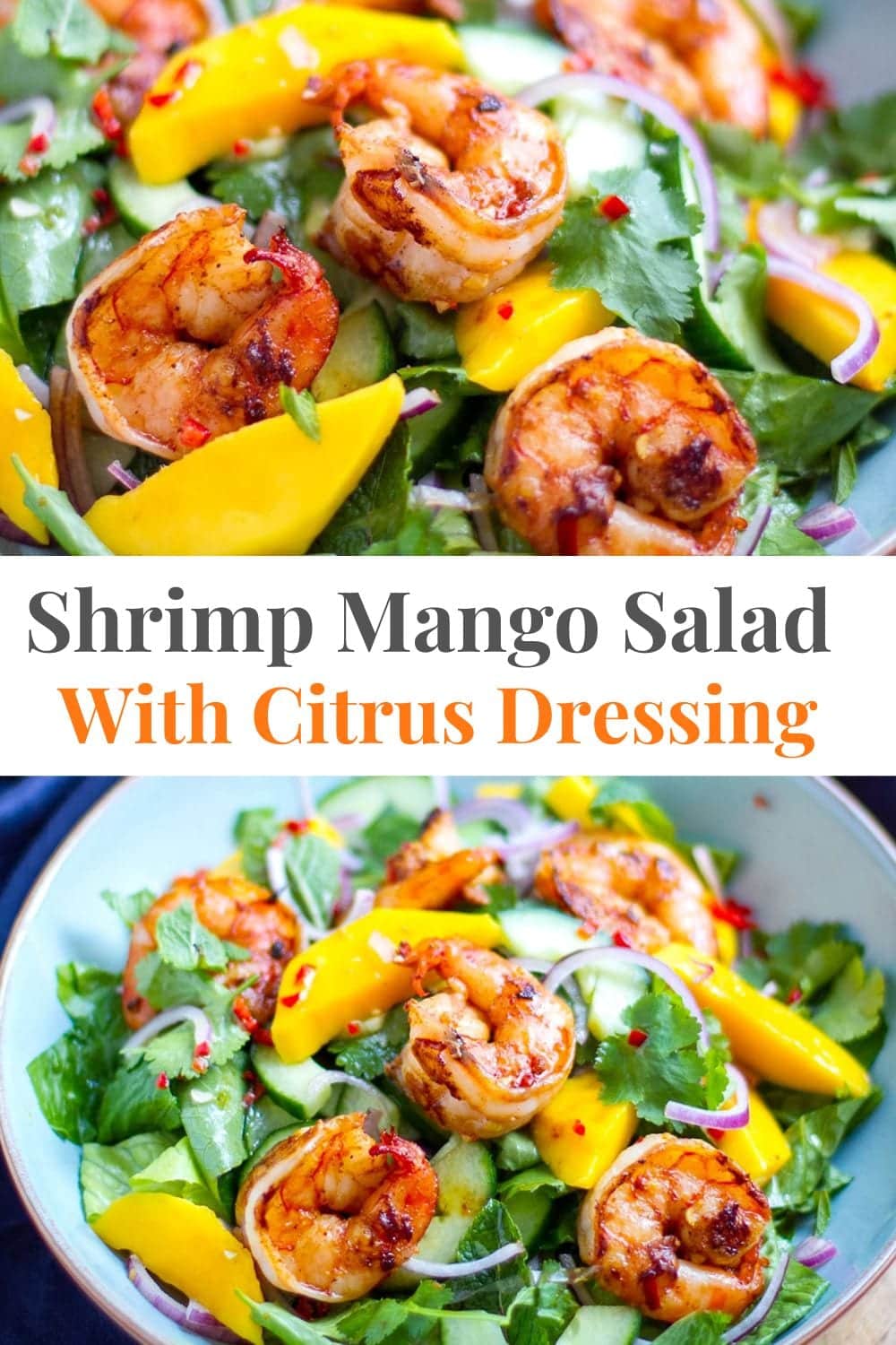 Shrimp Mango Salad With Citrus Dressing