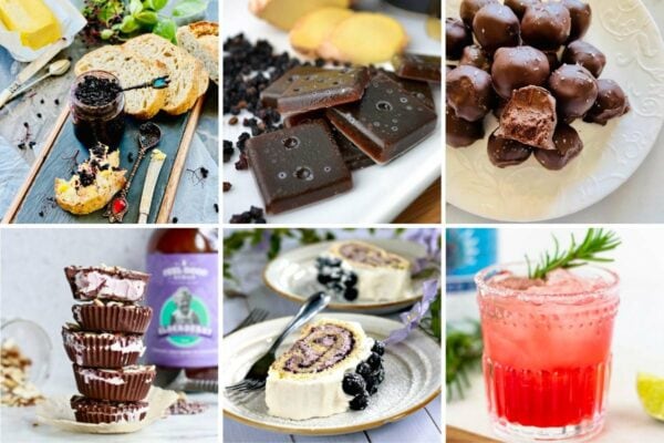 Best elderberry recipes and recipes with elderberry feature
