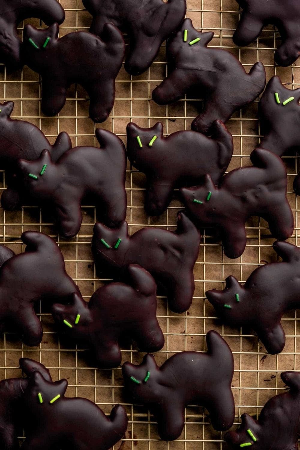Black Cat Halloween Sugar Cookies