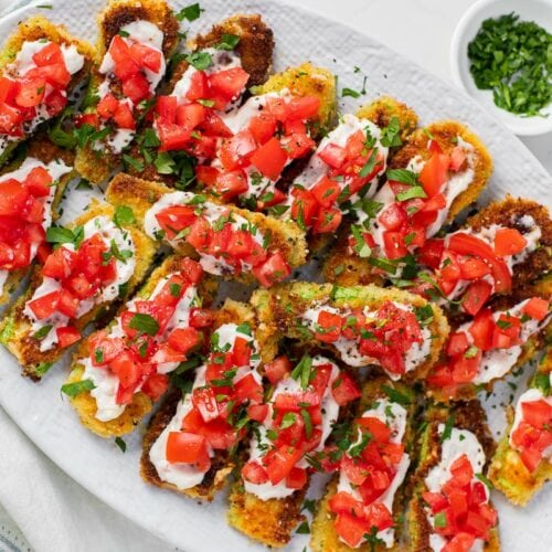 Parmesan crusted zucchini with aioli and tomatoes feature