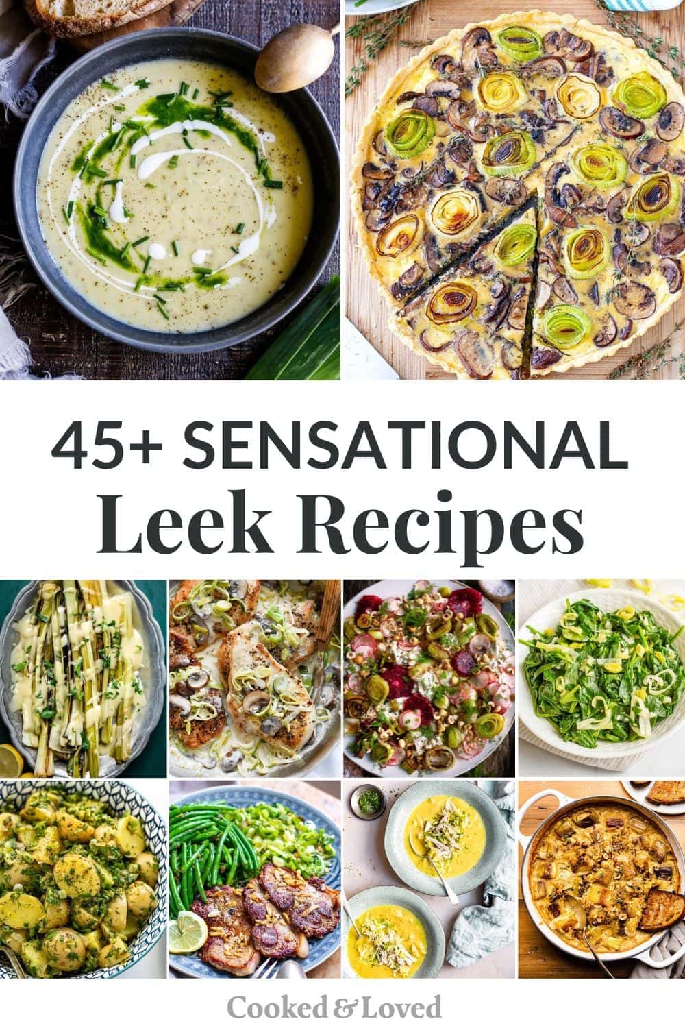 best leek recipes and recipes with leeks feature
