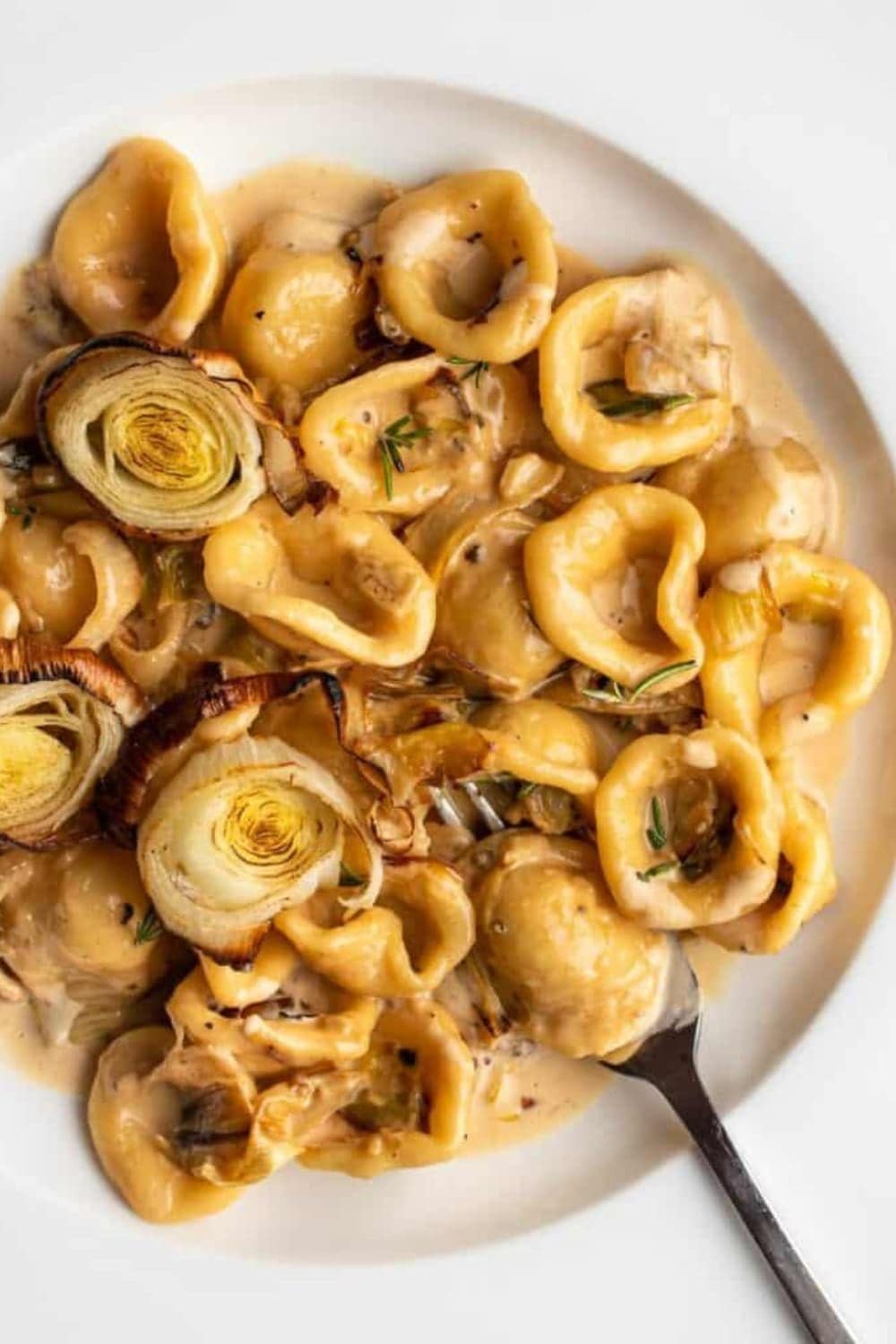Caramelized Creamy Leek Pasta