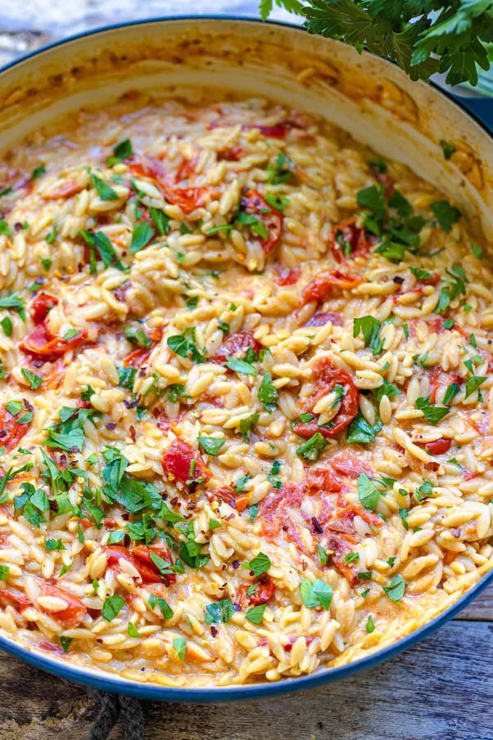 Creamy Orzo with Garlic, Parmesan, and Blistered Tomatoes