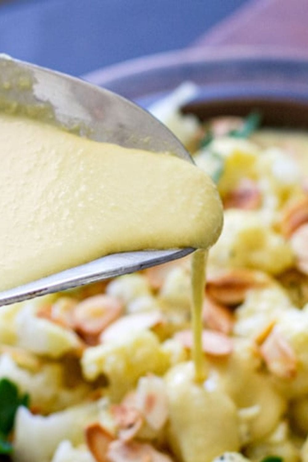 Paleo & Vegan Cheese Sauce