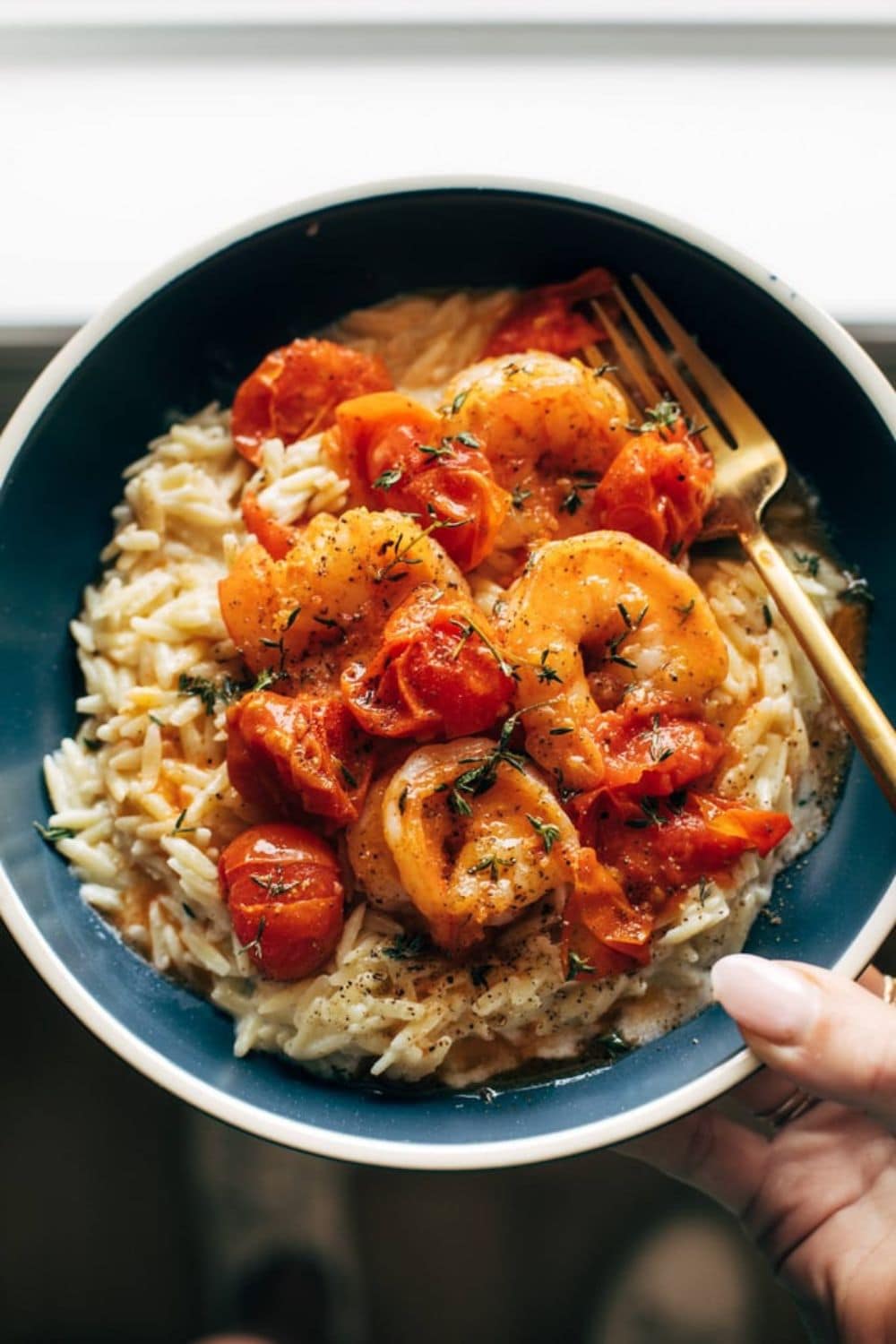 Garlic Shrimp and Tomatoes With Parmesan Orzo