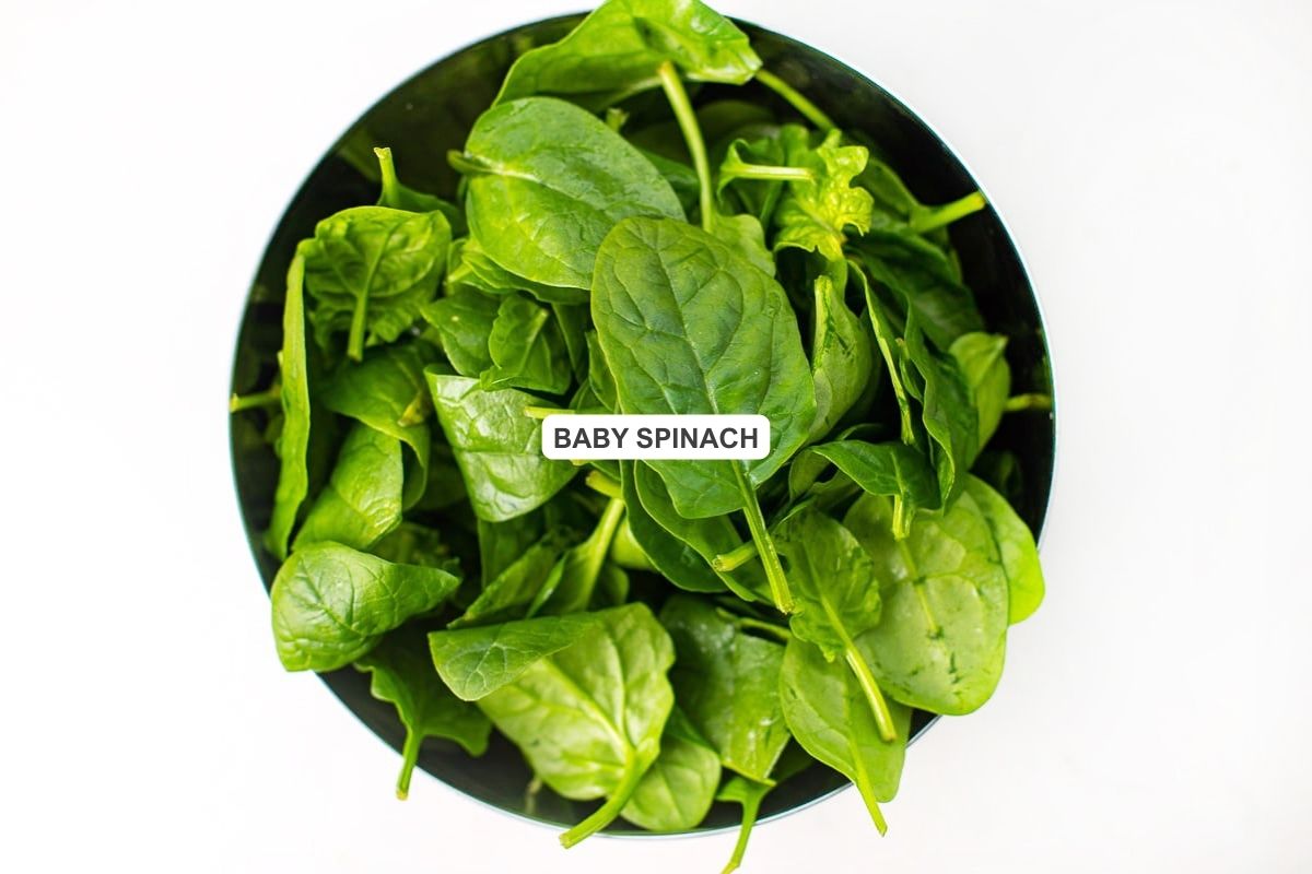 spinach recipes tomato florentine soup