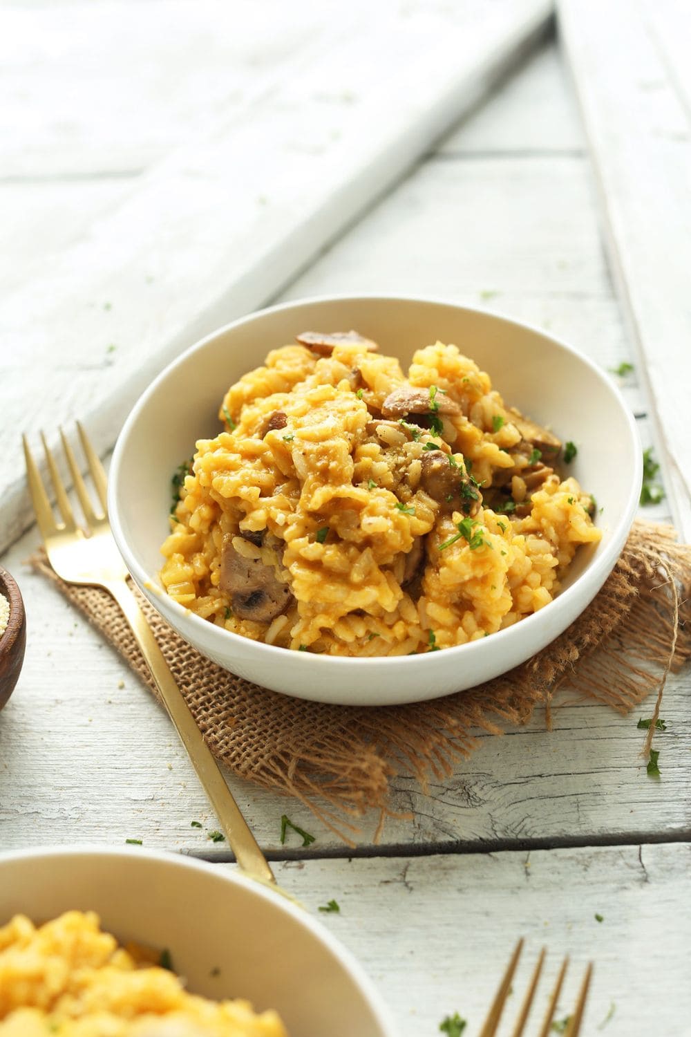 Mushroom And Leek Risotto