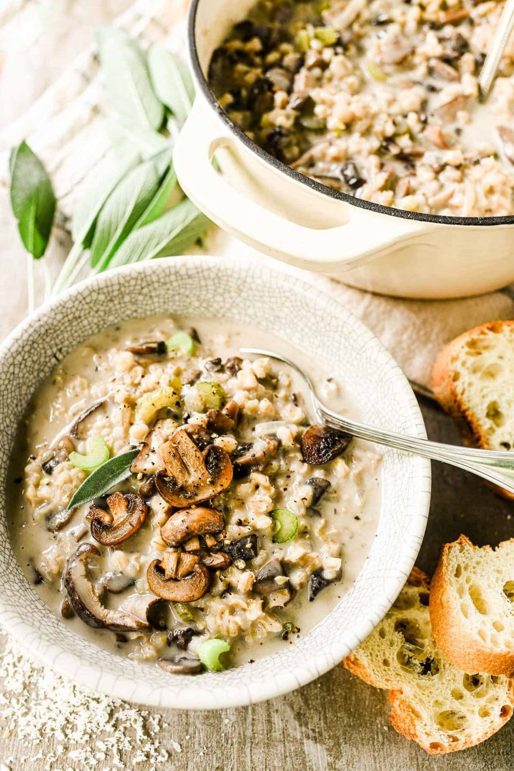 Mushroom Barley Soup