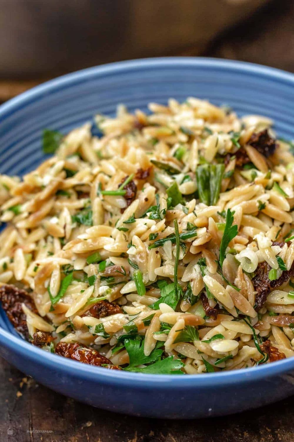 Toasted Orzo Pasta Recipe with Parmesan and Sun-dried Tomatoes
