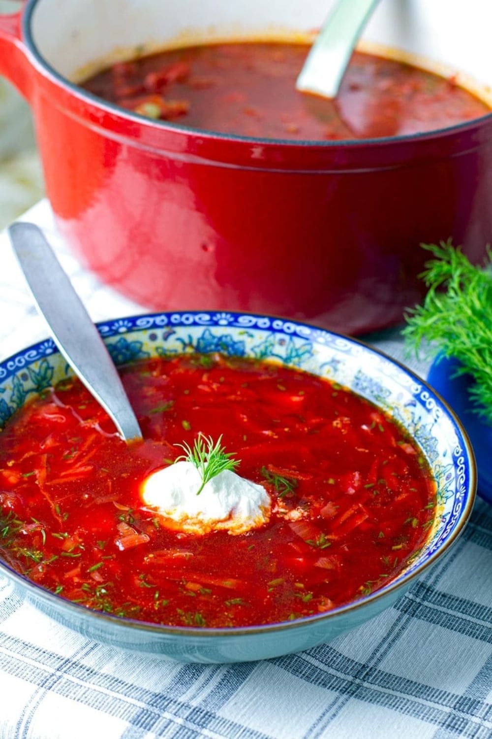 Borscht Soup