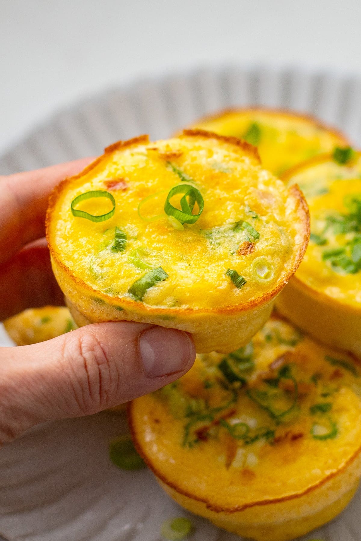 Starbucks egg bites