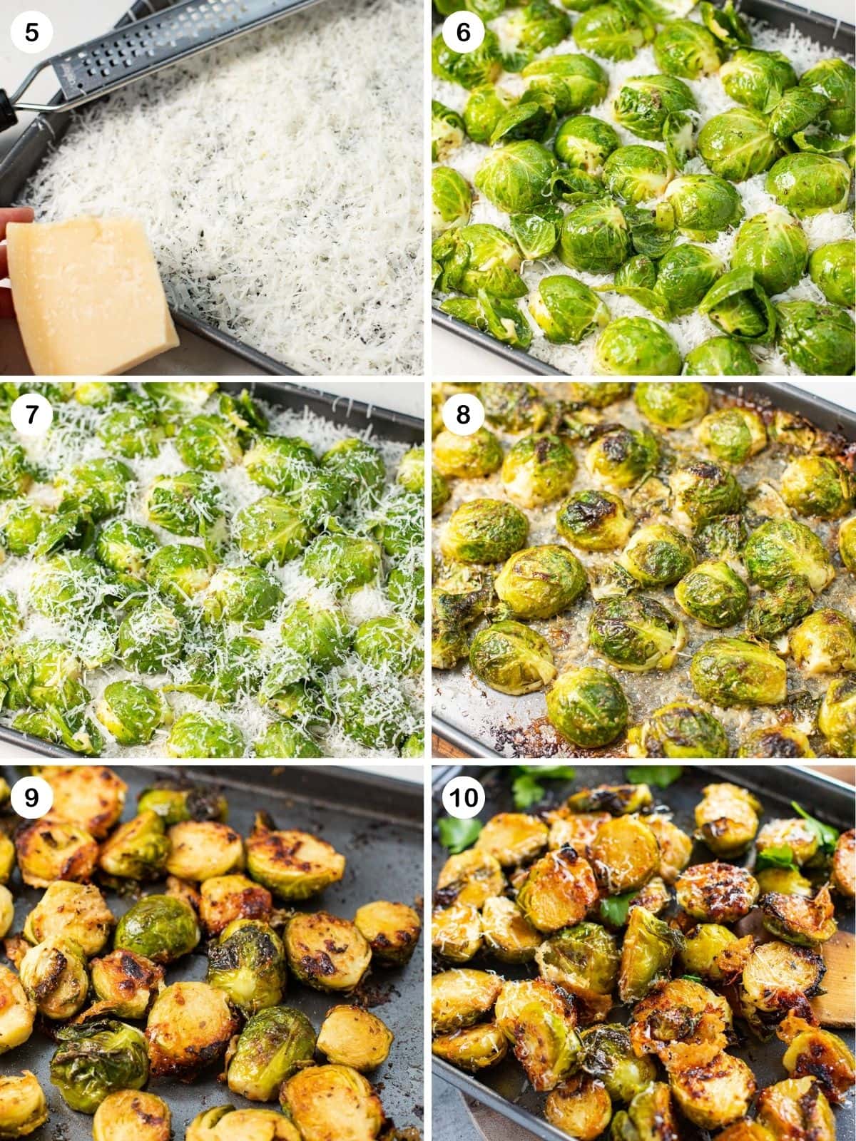 Spread parmesan and brussels sprouts on tray and roast.
