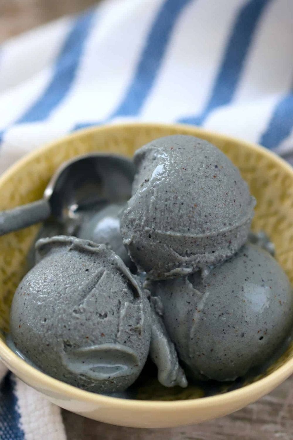 Ninja Creami (Low Carb Blueberry)