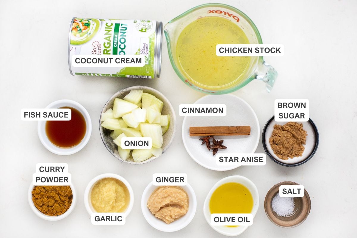 Ingredients for the recipe including coconut cream, chicken stock, fish sauce, onion, cinnamon, brown sugar, curry powder, garlic, ginger, olive oil, and salt.