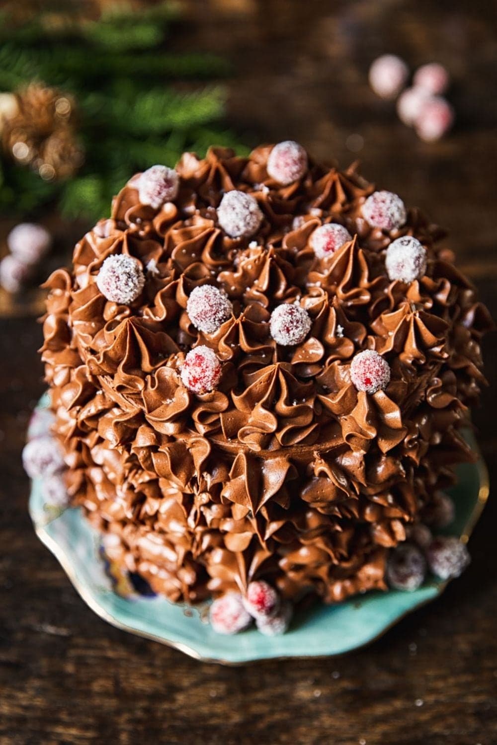 Christmas Chocolate Cake With Cranberries