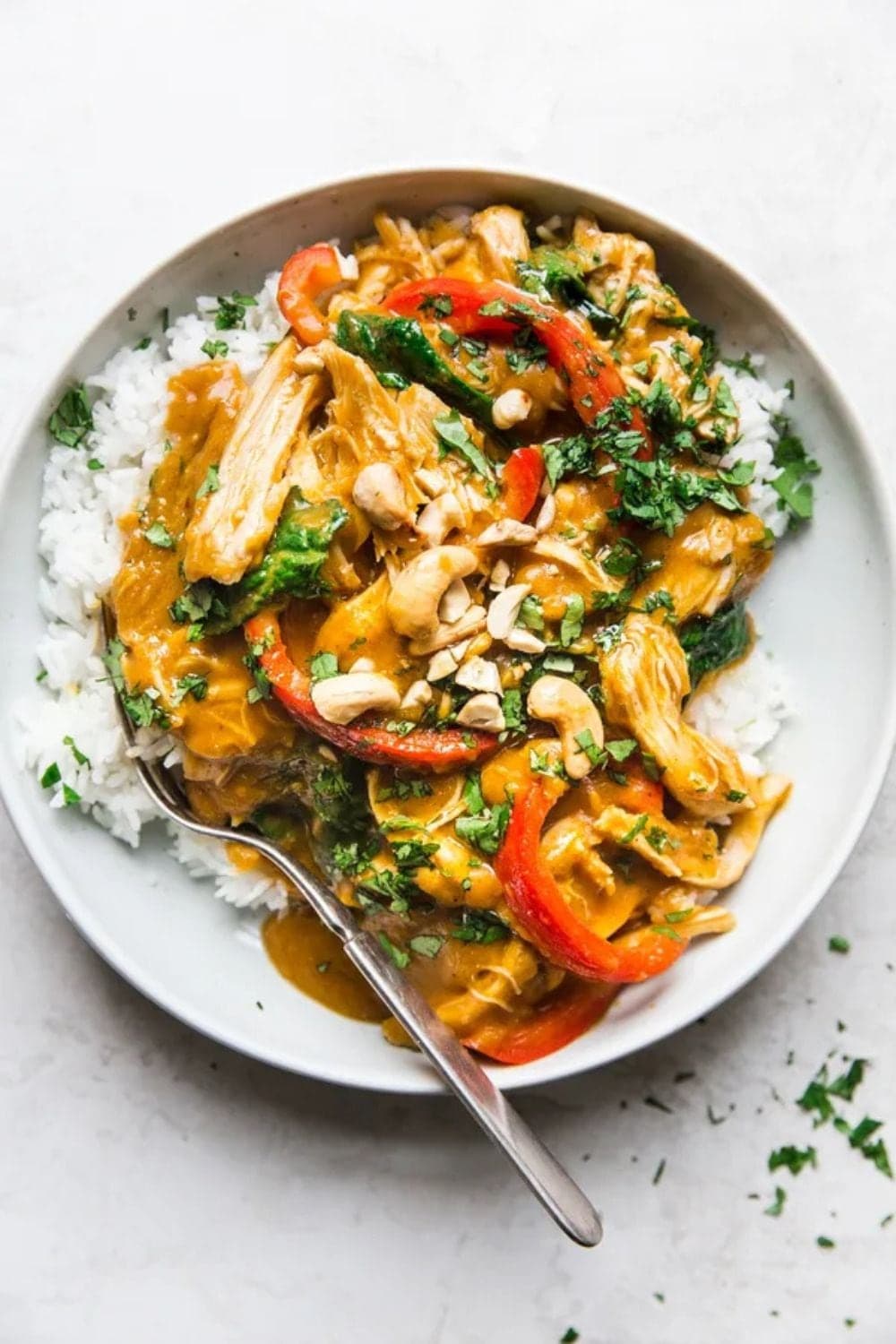 Chicken Pumpkin Curry.