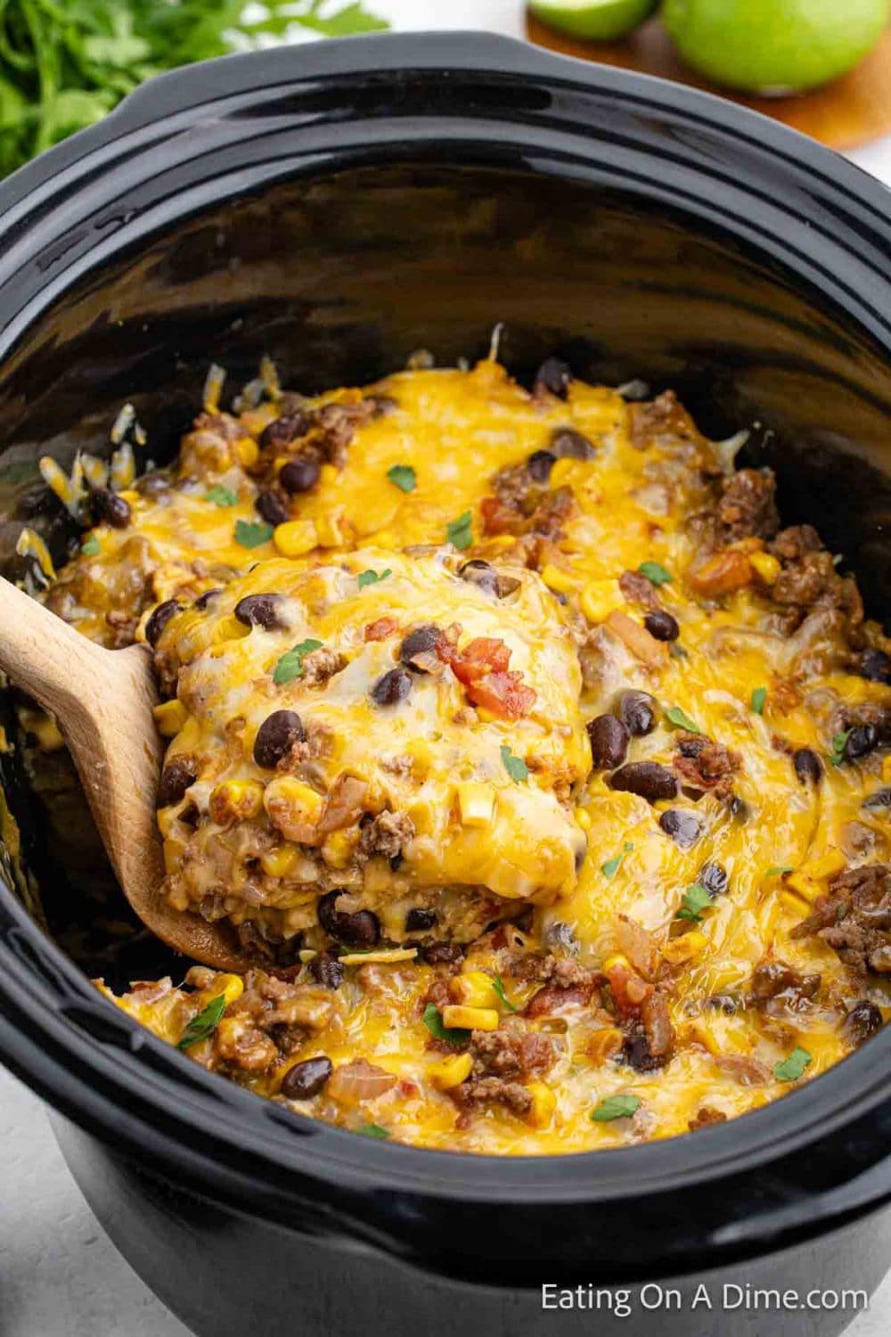 Crock Pot Mexican Lasagna