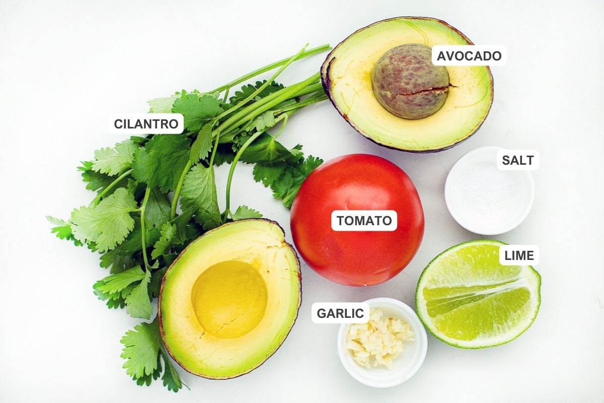 Ingredients for the recipe including cilantro, avocado, salt, tomato, garlic, salt, and lime.