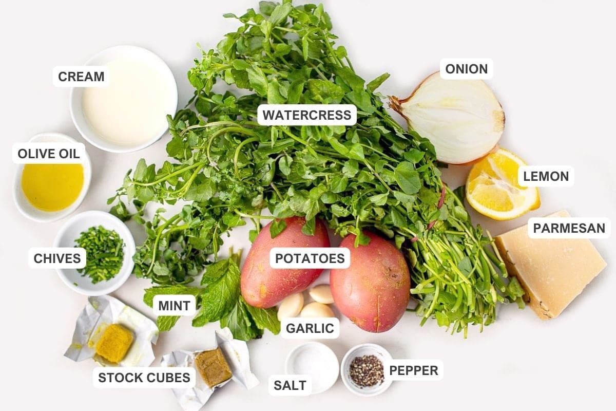 Ingredients for the recipe including watercress, cream, onion, olive oil, lemon, parmesan, potatoes, chives, mint, garlic, pepper, salt, and stock cubes.