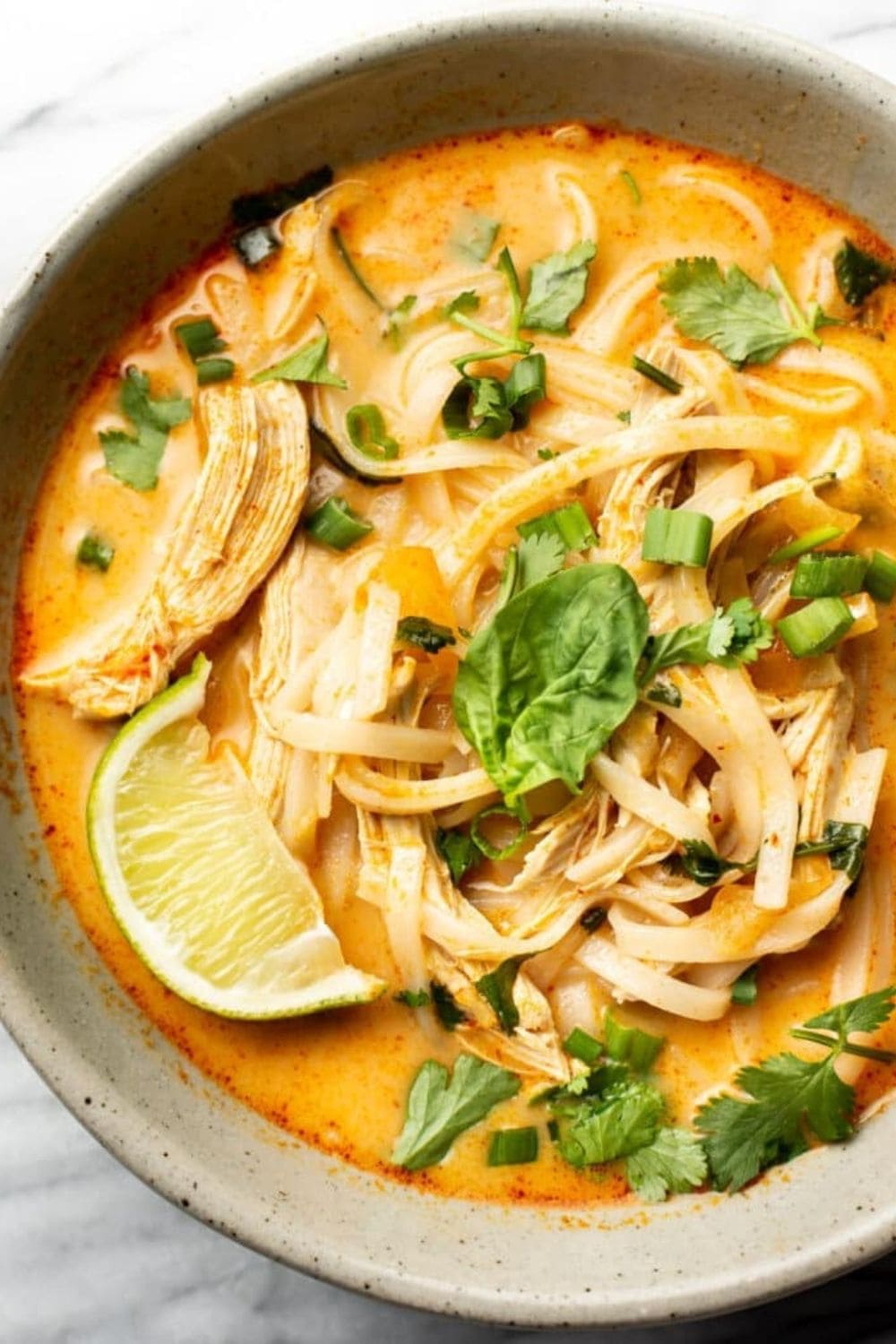 Easy Thai Chicken Curry Soup