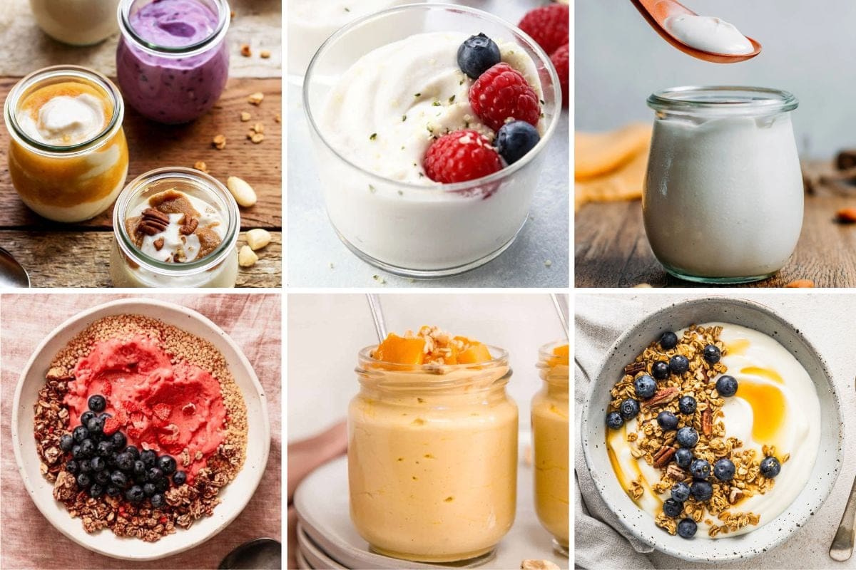 Dairy-Free Yogurt Recipes