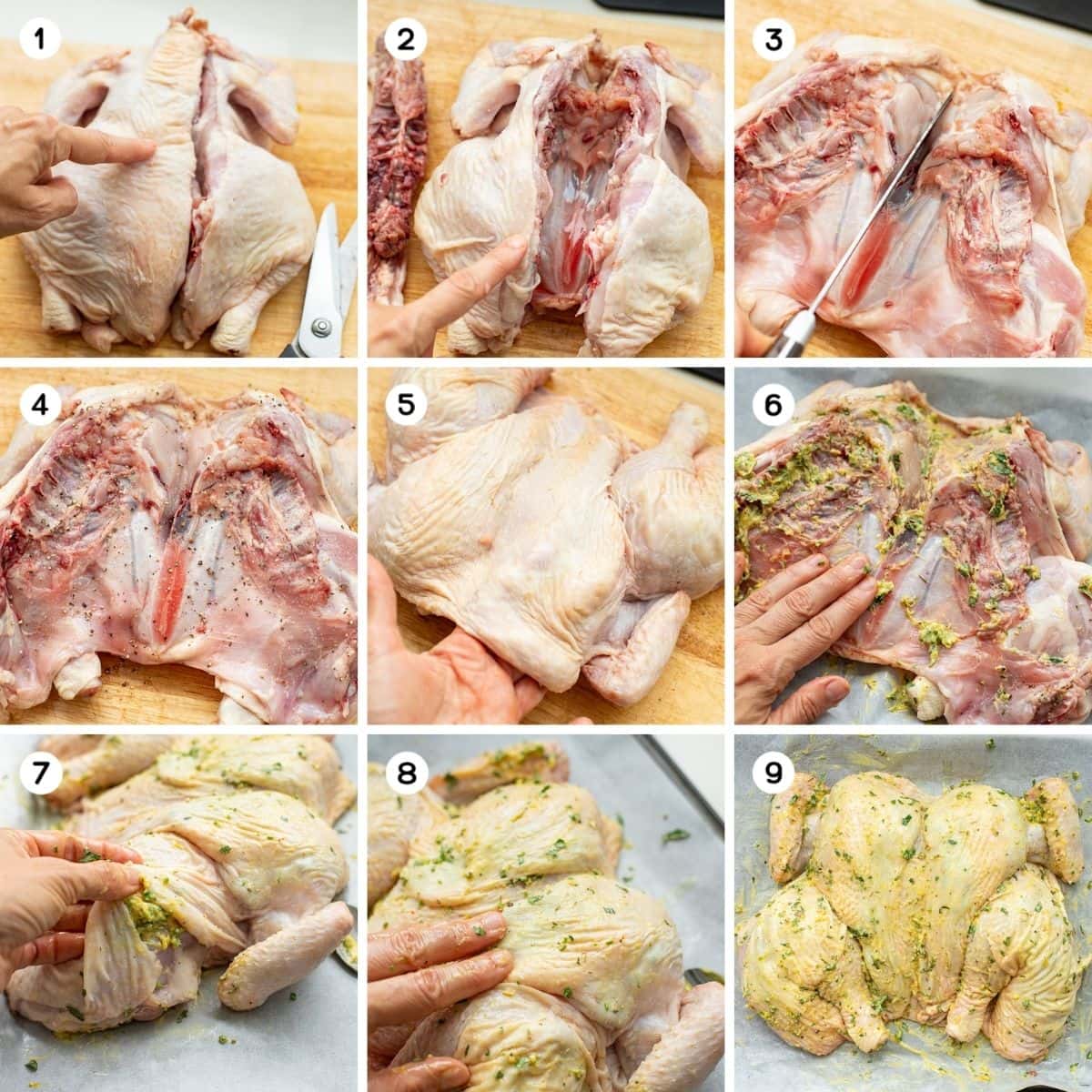 Butterfly the chicken