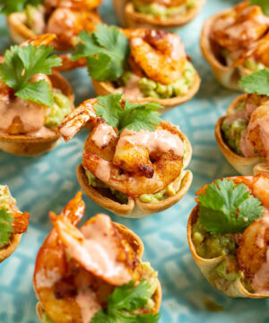 Appetizers