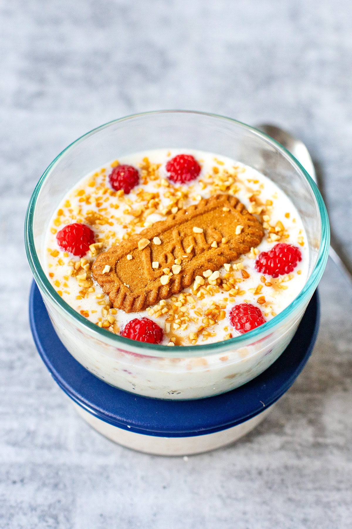 Biscoff peanut berry protein oats