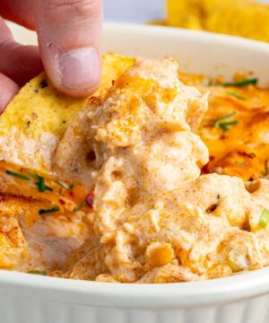 Buffalo Chicken Dip With Cottage Cheese